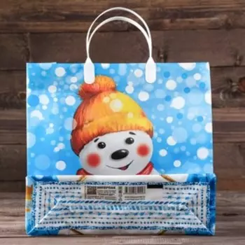 Пакет подарочный новогодний «Снежный друг», мягкий пластик, 3030 см