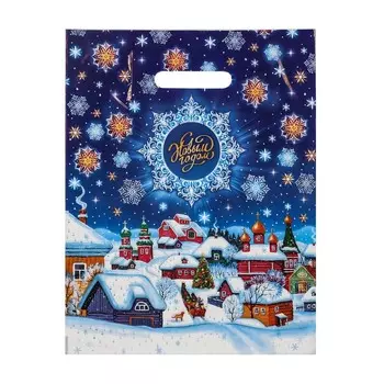 Новый год. Пакет "Стужа", полиэтиленовый с вырубной ручкой, 30х40 см.