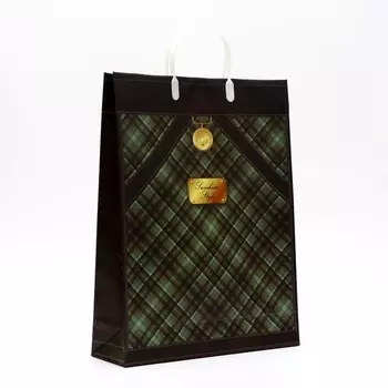 Пакет «Сумка», мягкий пластик, 4232 см