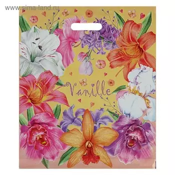 Пакет "Ваниль", полиэтиленовый с вырубной ручкой, 40 х 47 см, 45 мкм