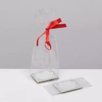 Пакет "Весенние цветы", с жестким дном, № 1, 11 х 7 х 33 см