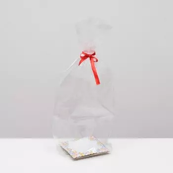 Пакет "Весенние цветы", с жестким дном, красный, 14 х 14 х 44 см