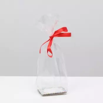 Пакет "Весенние цветы", с жестким дном, мини, 8 х 6 х 23 см