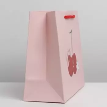 Пакет «Вишенки», 23 х 9 х 19 см