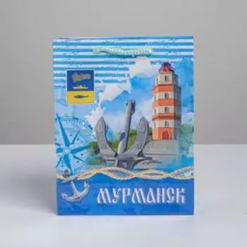 Пакет вертикальный ламинированный «Мурманск» MS, 18 х 23 х 8 см