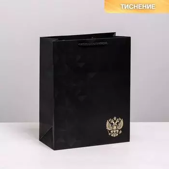 Пакет подарочный вертикальный, упаковка, «Отечество наше», 25 х 32 х 12 см