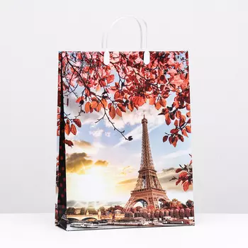 Пакет «Закат», мягкий пластик, 4232 см 100 мкм