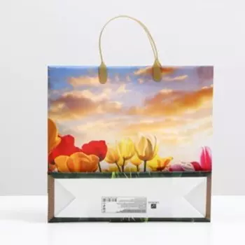 Пакет «Закат над тюльпанами», мягкий пластик, 3030 см, 120 мкм