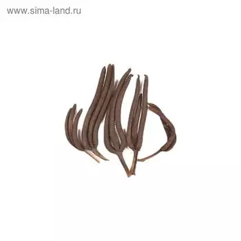 Пальм мейл, набор 5 шт