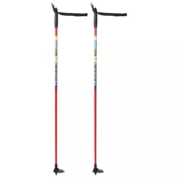 Палки лыжные стеклопластиковые, длина 100 см