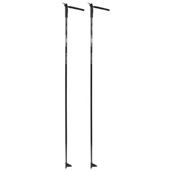 Палки лыжные стеклопластиковые, длина 165 см