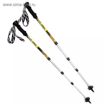 Палки треккинговые 4Point, комплект-1 пара