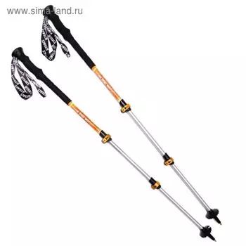 Палки треккинговые Edge, комплект-1 пара