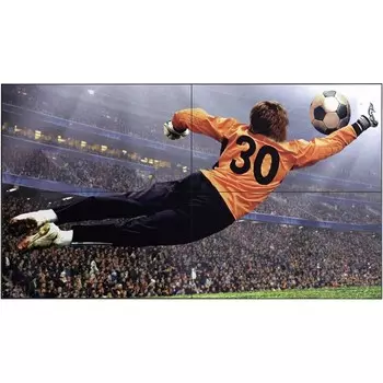 Панель LG 49" 49VL5G-M черный IPS LED 16:9 DVI HDMI матовая 500cd 178гр/178гр 1920x1080 Dis 102948