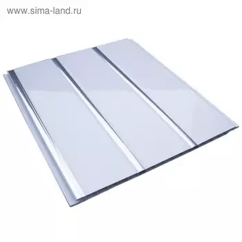 Панель потолочная ПВХ, 3000200 мм, цвет белый/лак серебро