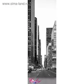 Панно "Черно белый мегаполис" К-014 (1 полотно), 100x300 см