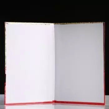 Папка адресная "Выпускной" парусник, А4