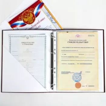 Папка для документов "Орел", 24,5х32 см