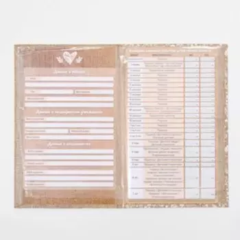 Папка для медицинского полиса "Коллаж", 17,5 х 11,3 см