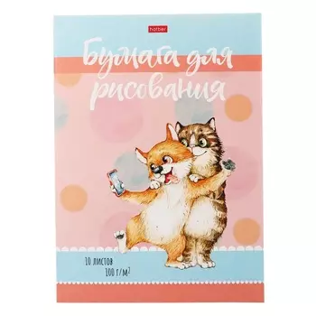 Папка для рисования А4, 10 листов 100 г/м Hatber "Котоселфи", тиснение