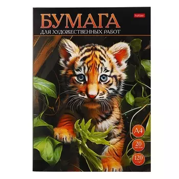 Папка для рисования А4, 20 листов 120 г/м Hatber "Тигрёнок", тиснение