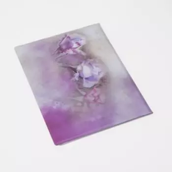 Папка для документов, 2 комплекта, цвет сиреневый