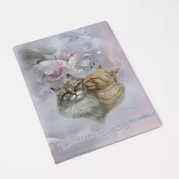 Папка для документов, 4 комплекта, цвет розовый