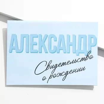 Папка для свидетельства о рождении «Александр», А5