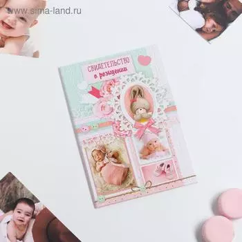 Папка для свидетельства о рождении девочки «Зайчик», под новый формат, А5, 23 х 17 см
