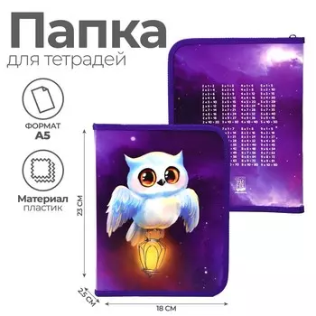 Папка для тетрадей А5 на молнии вокруг пластик ПМ-А5-04 дев «1 сентября: Совушка»