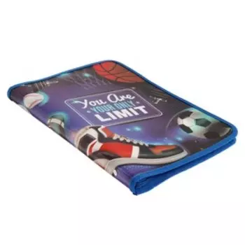 Папка для тетрадей А4, 230 х 325 х 25 мм, молния вокруг, пластиковая, ПМ-А4-04, "Спортивная жизнь"