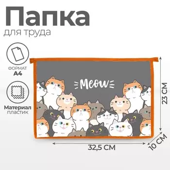 Папка для труда А4, 325 х 230 х 100 мм, молния сверху, пластиковая, ПТР-22 "Коты"