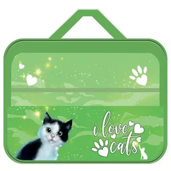 Папка для труда А4, 335 х 260 х 60 мм, с ручками, текстильная, ПВХ, ПТР-111 "Зеленоглазый"