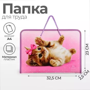 Папка для труда, А4, пластиковая, 32.5232.5 см «Самая милая»