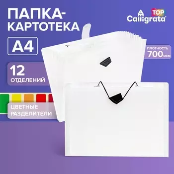 Папка А4, Calligrata TOP DeLuxe, 12 отделений, 700 мкм, на резинке, белая с цветными разделителями