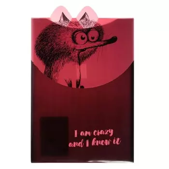 Папка-конверт на липучке А4, Феникс+ "Крэйзи белка" 33см х 22см х 0,5см МИКС