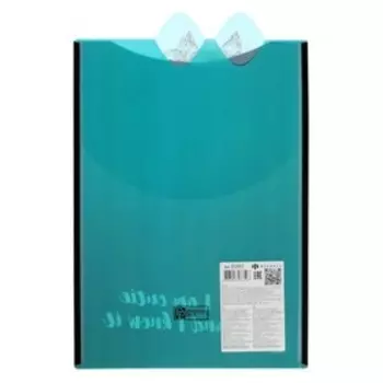 Папка-конверт А4, на липучке Феникс+ "Крэйзи пес" 33см х 22см х 0,5см МИКС