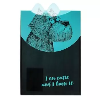 Папка-конверт А4, на липучке Феникс+ "Крэйзи пес" 33см х 22см х 0,5см МИКС