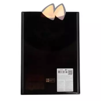 Папка-конверт А4 на липучке дизайн Феникс "Рок корги" черн/сер 60452