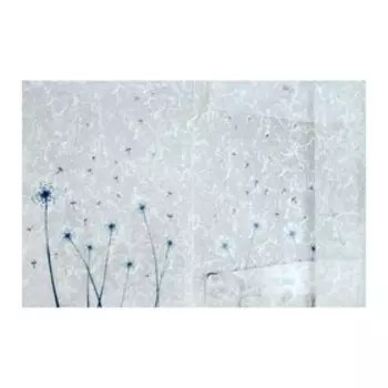 Папка на резинке А4, 400 мкм, BrunoVisconti "Одуванчики", пластик