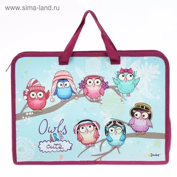 Папка с ручками А4, 340 х 245 х 75 мм, пластиковая, ручки-тесьма, Оникс "Яркие совы"