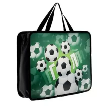 Папка для труда, А4, пластиковая, 33267.5 см «Гол»