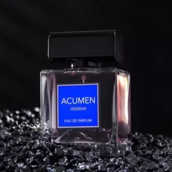 Парфюмерная вода мужская Acumen Indigo, 100 мл