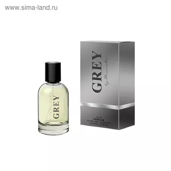 Парфюмерная вода мужская Flavio Neri Grey, 100 мл