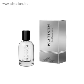 Парфюмерная вода мужская Flavio Neri Platinum, 100 мл