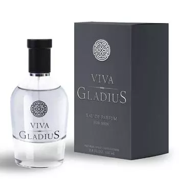 Парфюмированная вода мужская Flavio Neri Viva Gladius, 100 мл