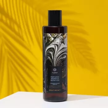 Парфюмированный шампунь для глубокого восстановления сухих и повреждённых волос SENTIMENTI, 250 мл