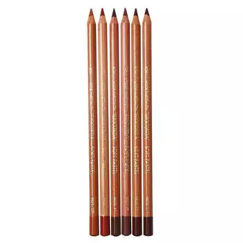 Пастель сухая в карандаше набор Soft K-I-N 6цв GIOCONDA 8826 BRAUN LINE, карт/уп, европодвес 1030904