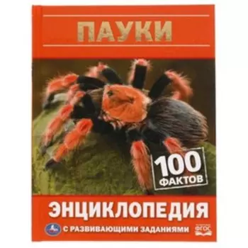 Пауки. Энциклопедия с развивающими заданиями