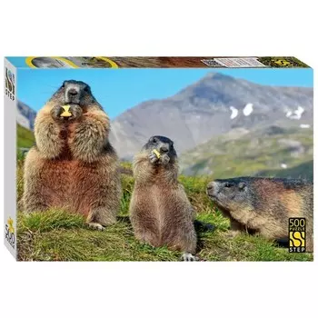 Пазл «Альпийские сурки», 500 деталей